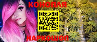 соль ск Будённовск