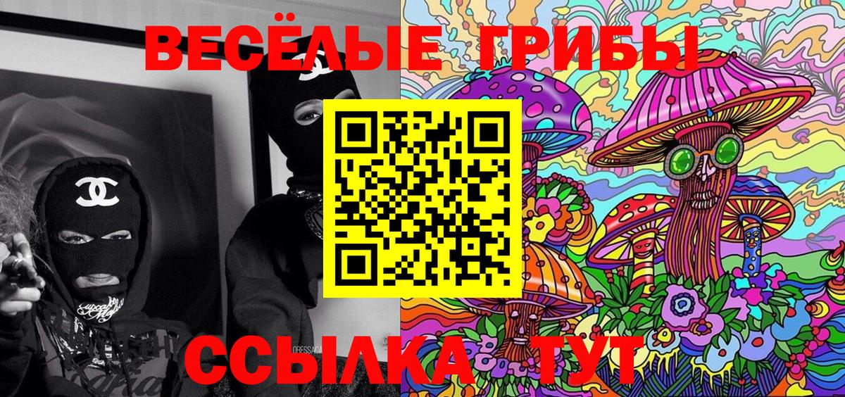 Подольск  Галлюциногенные грибы Cubensis  цена   Вход с VPN 