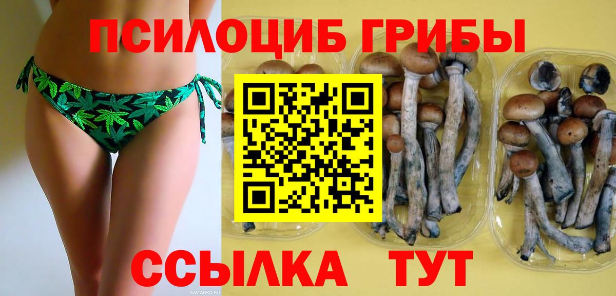 Псилоцибиновые грибы Magic Shrooms Подольск